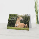 Search for greyhound birthday cards Lurcher