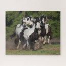 Search for gypsy vanner horse puzzles Horses