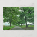 Search for bluegrass postcards Horses