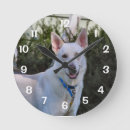 Search for white german shepherd art Pet