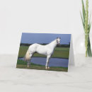 Search for appaloosa horse cards Equestrian