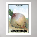 Search for turnip art Garden