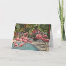 Search for tropical christmas cards Florida