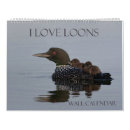 Search for common photography Loon