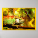Search for animal chameleon posters Panther