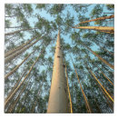 Search for aspen tiles Leaf