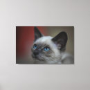 Search for part 1 canvas prints Horizontal