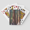 Search for tree playing cards Trunk