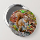 Search for squirrel photo badges Squirrels