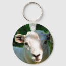 Search for cute sheep key rings Lamb