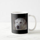 Search for handsome coffee mugs White