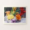 Search for seahorse puzzles Animal