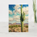 Search for sunset landscape cards Saguaro