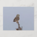 Search for grasslands postcards Animal