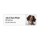 Search for springer spaniel return address labels Animal