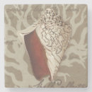 Search for seaside coasters Sonnet