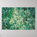 Search for grass flower posters Green
