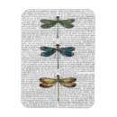 Search for dragonfly magnets Flowers
