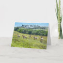 Search for custer cards South dakota