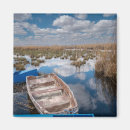 Search for turkey magnets Landscape