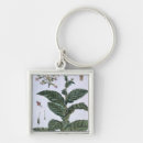 Search for tobacco key rings Fruit