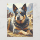 Search for cattle dog postcards Puppy