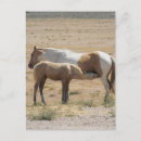 Search for without text postcards For her