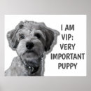 Search for cute puppy posters Funny