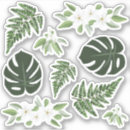Search for fern craft supplies Tropical