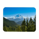 Search for hooded magnets North america