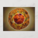 Search for nucleus postcards Medicine
