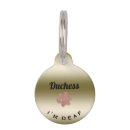 Search for deaf dog Medical