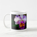 Search for cattleya orchid mugs Orchids