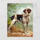 Search for bird pet invitations Dog