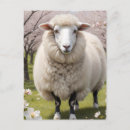 Search for cute postcards Animal