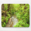 Search for lost mouse mats Nature