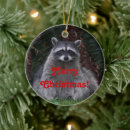 Search for cute racoon christmas tree decorations Raccoons