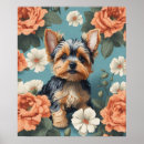 Search for yorkshire terrier posters Cute