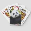 Search for panda playing cards Smithsonian