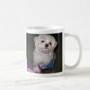 Search for funny maltese dog mugs Pet