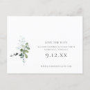 Search for eucalyptus save the dates Minimal