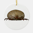 Search for white elephant christmas gifts Gag
