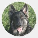 Search for dog face stickers Smile