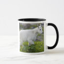 Search for logan mugs National park