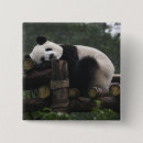 Search for panda square badges Bamboo
