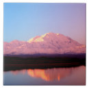 Search for recreation tiles Usa