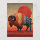 Search for native bison buffalo postcards Wildlife