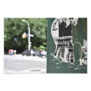 Search for graffito posters Urban