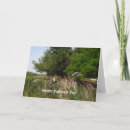 Search for bird fathers day cards Best