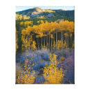 Search for aspen canvas prints anna miller